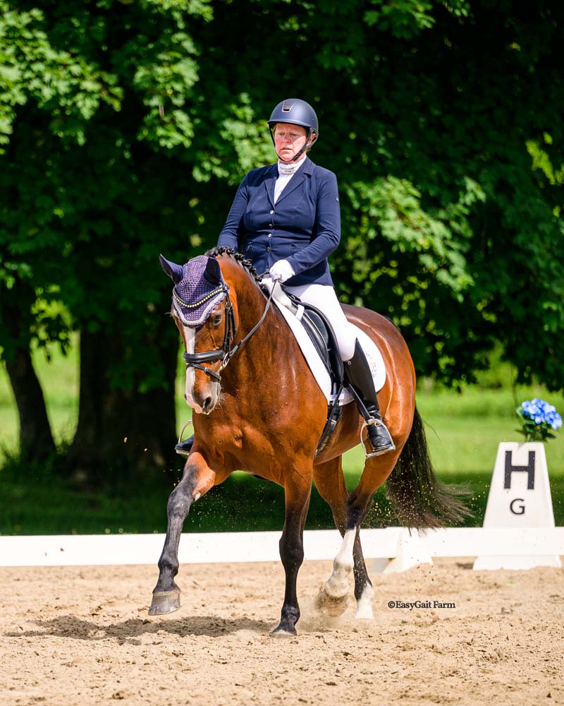 Bettina and Li'Czabeth SCF during a dressage test.