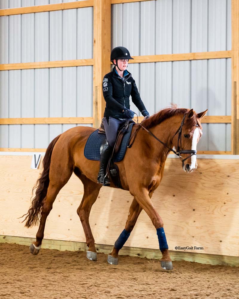 Jana and Frankie in the EasyGait Farm arena.